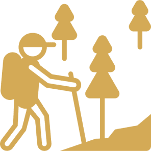 Hiker with backpack walking in forest.