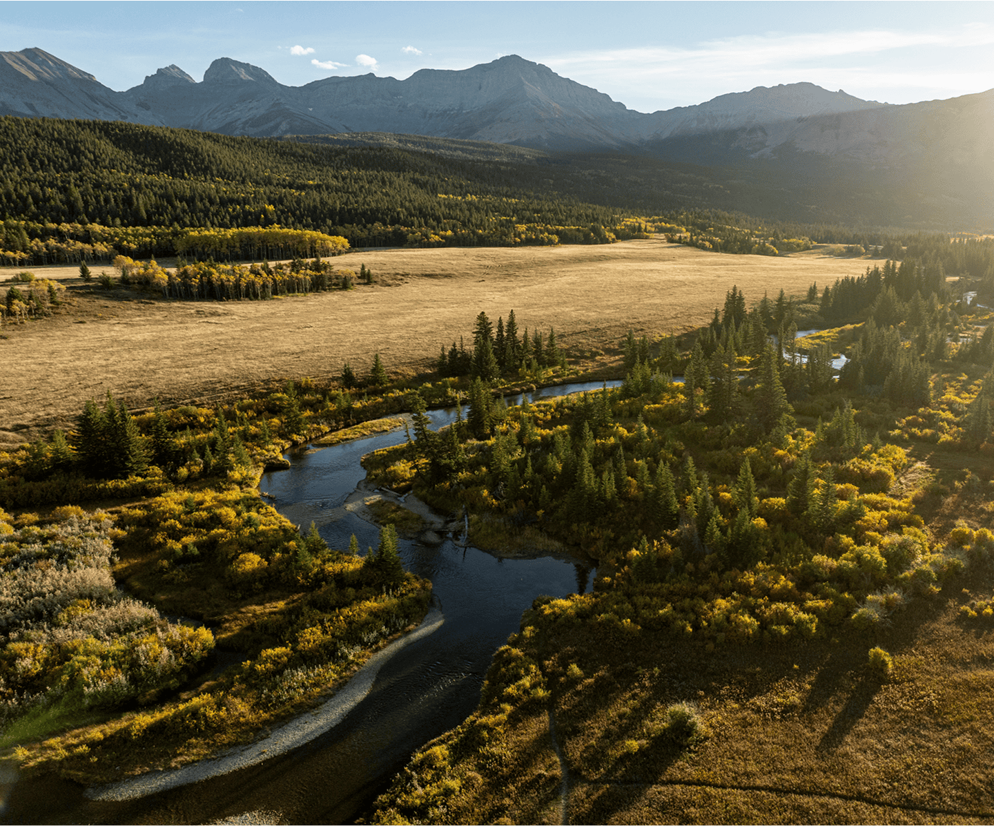 Mountain valley with river and forest landscape.