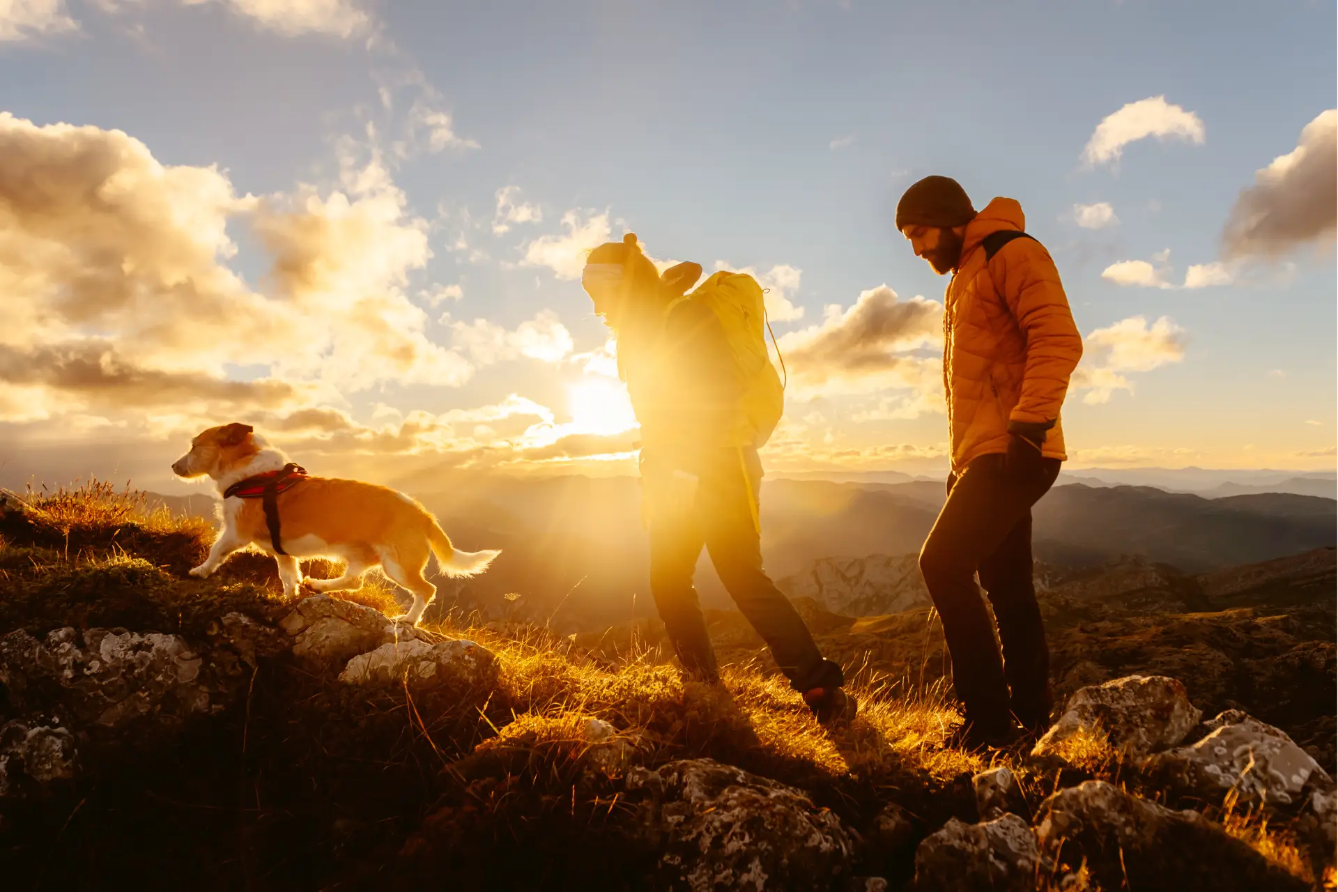 Two people and a dog hiking up a mountain at sunset