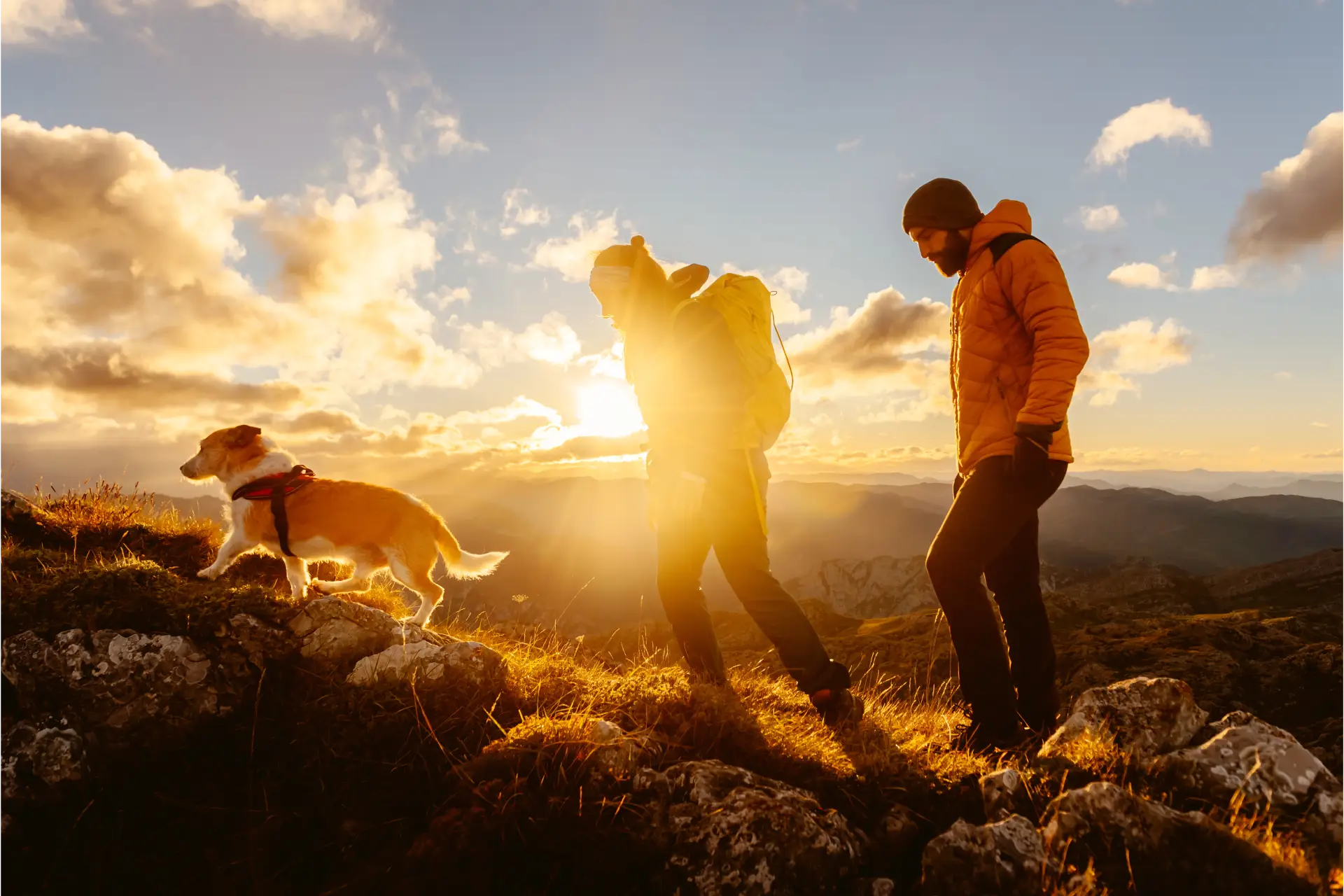 Two people and a dog hiking up a mountain at sunset